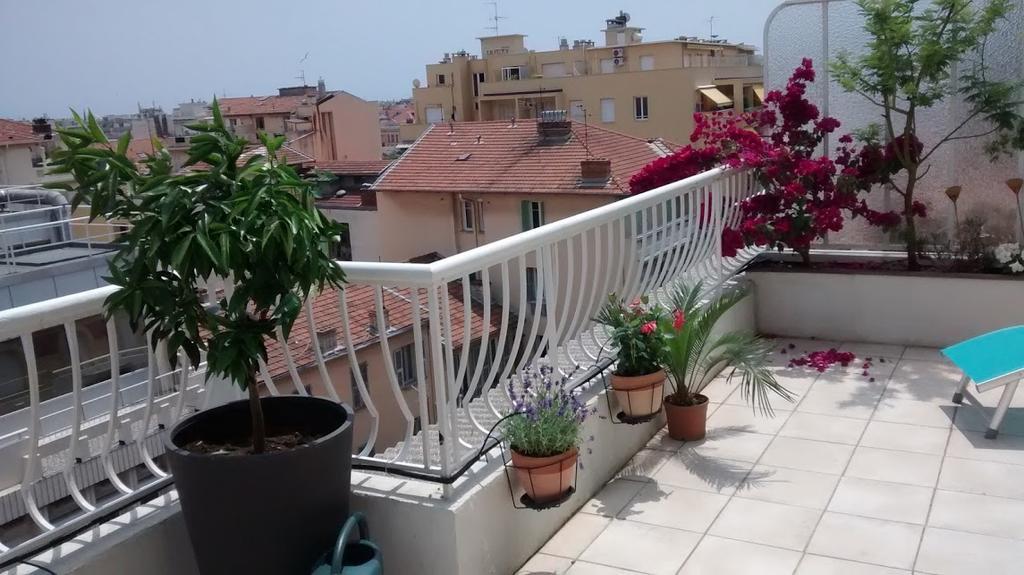 Val Roya Terrasse Leilighet Nice Eksteriør bilde